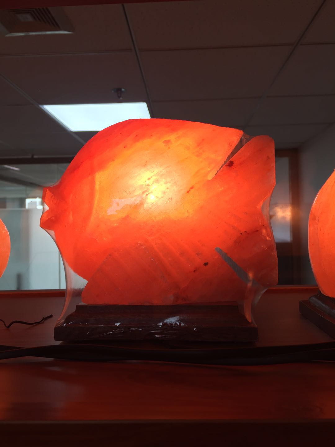 ϲ������ˮ���ε� ��߿�������������� ����˯�߷������