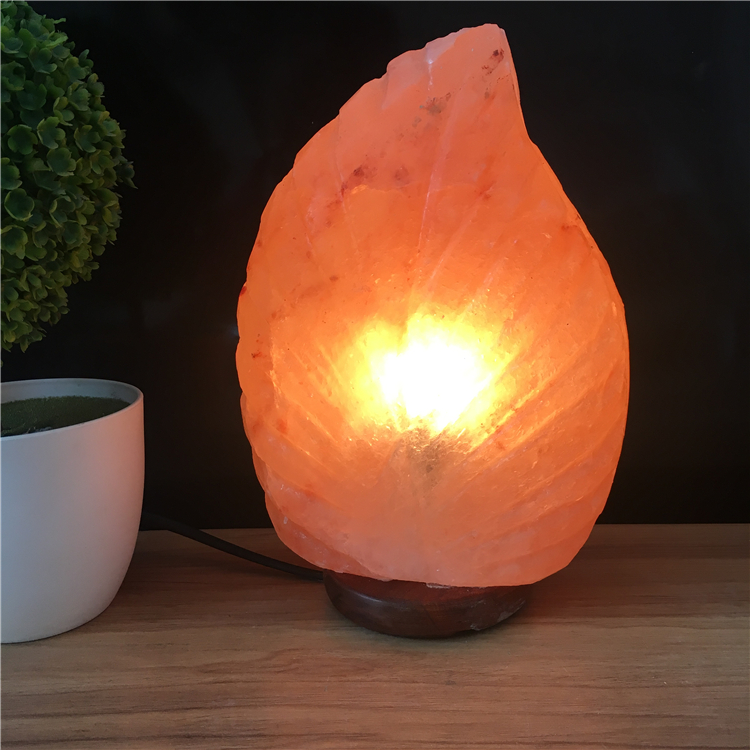 ϲ������ˮ���ε� ��߿�������������� ����˯�� һ����˳��