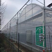 ��Ĥ��������