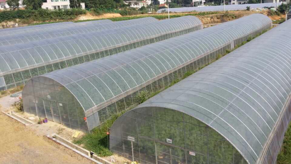 Բ������